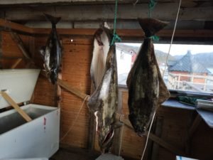 IMG_20191007_111058-1