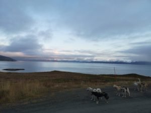 IMG_20191011_161231
