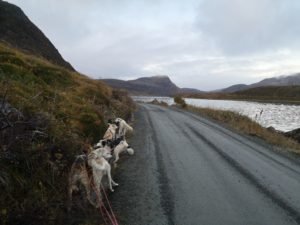 IMG_20191011_162213