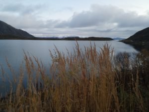 IMG_20191011_163102