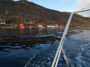 IMG_20191012_134354