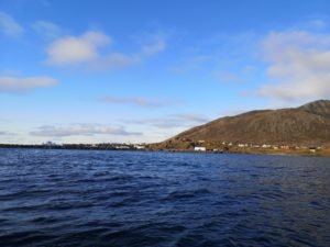 IMG_20191012_140402