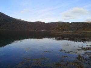 IMG_20191013_111419