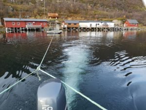 IMG_20191013_125547-1