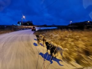 IMG_20191021_171433