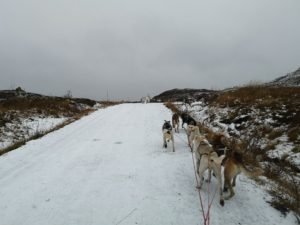IMG_20191023_131207