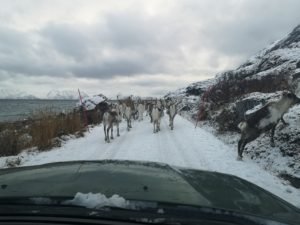 IMG_20191024_140305