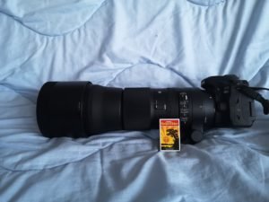 IMG_20191029_134847