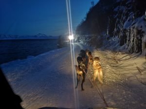 IMG_20191030_154258