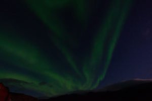 IMG_5787