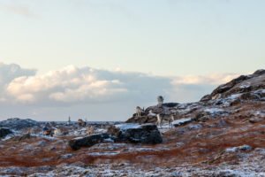 IMG_5816_1