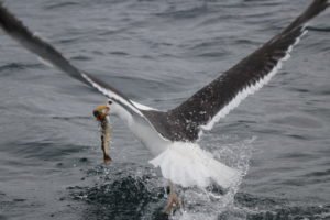 IMG_5817