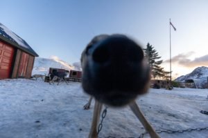IMG_5980
