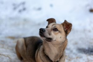 IMG_6035