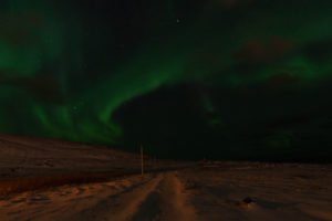 IMG_6176
