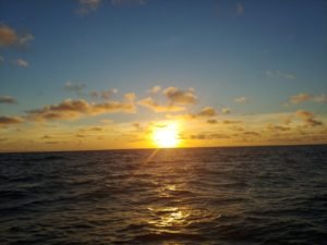 IMG-20191119-WA0009