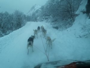IMG_20191101_140428