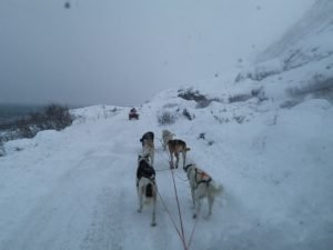 IMG_20191101_141458_2