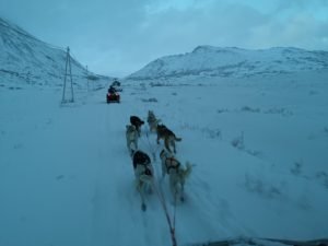 IMG_20191101_144021