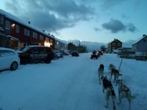 IMG_20191101_145407
