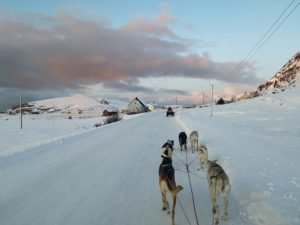 IMG_20191103_134138