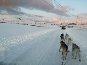 IMG_20191103_134459