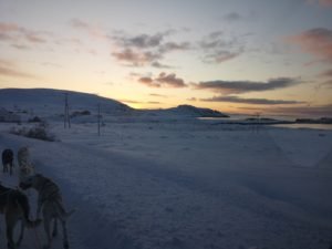 IMG_20191103_134916