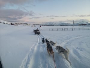 IMG_20191103_135352