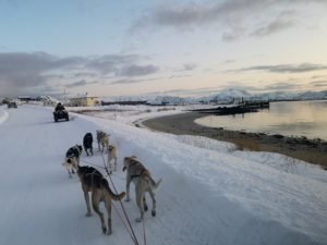 IMG_20191103_135946