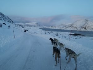 IMG_20191103_141949