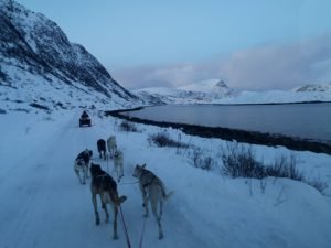 IMG_20191103_142930