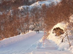 IMG_20191107_100545