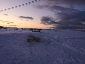 IMG_20191108_140354