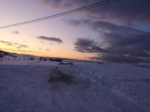 IMG_20191108_140358