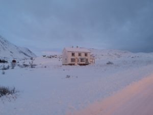 IMG_20191108_142305