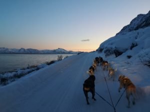 IMG_20191111_140356