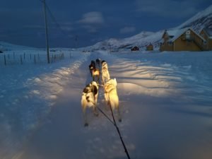 IMG_20191112_143550
