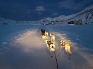 IMG_20191112_143614