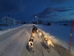 IMG_20191112_144350
