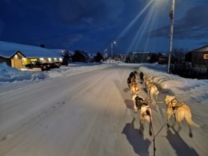 IMG_20191112_144539