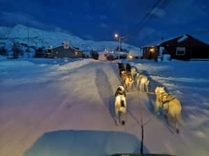 IMG_20191112_144808