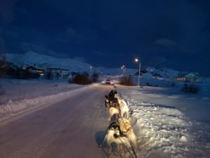 IMG_20191112_144929