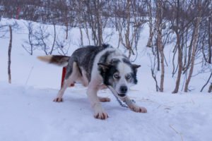 IMG_8762