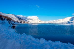 IMG_9232-1