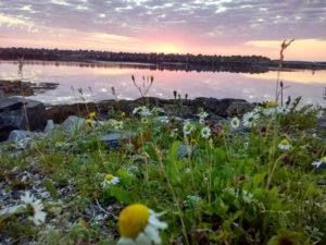 IMG_20180716_231116_HDR-1
