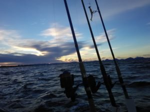 IMG_20181103_083304-1