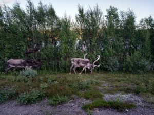 IMG_20190718_210937-1
