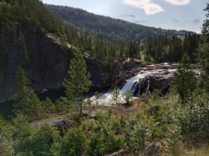 IMG_20190719_091408-1
