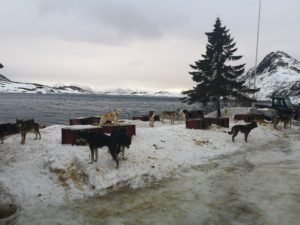 IMG_20200208_105247
