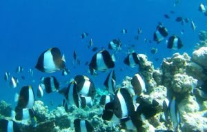 IMG_20200209_162503